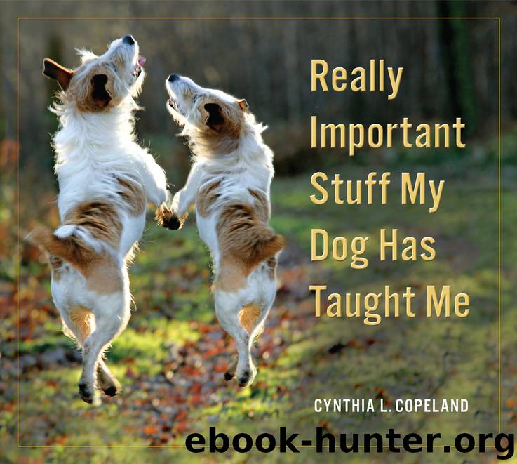 Really Important Stuff My Dog Has Taught Me by Cynthia L. Copeland