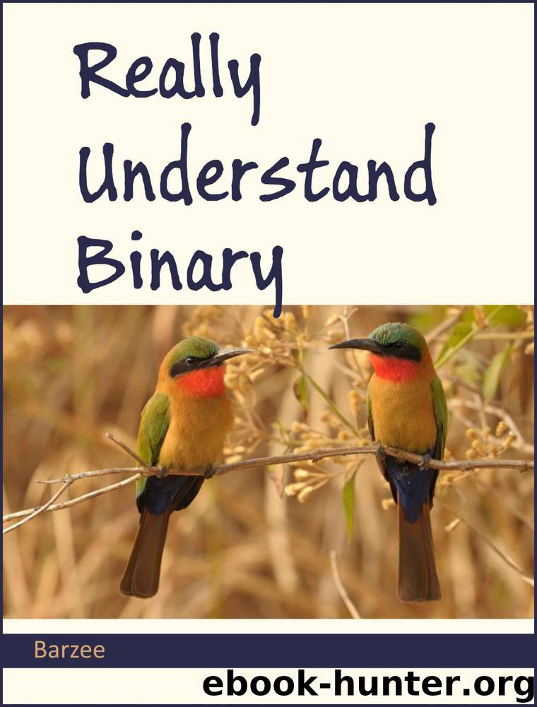 Really Understand Binary by Rex A. Barzee