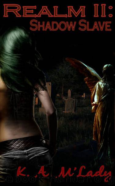Realm Book Two - Shadow Slave by K.A. M'Lady