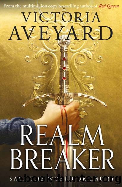 Realm Breaker by Aveyard Victoria