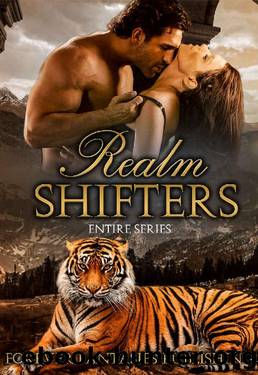 Realm Shifters by Forever Fantasies Publishing