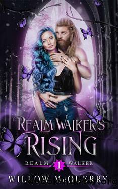 Realm Walker's Rising: Realm Walker Book 1 by Willow McQuerry