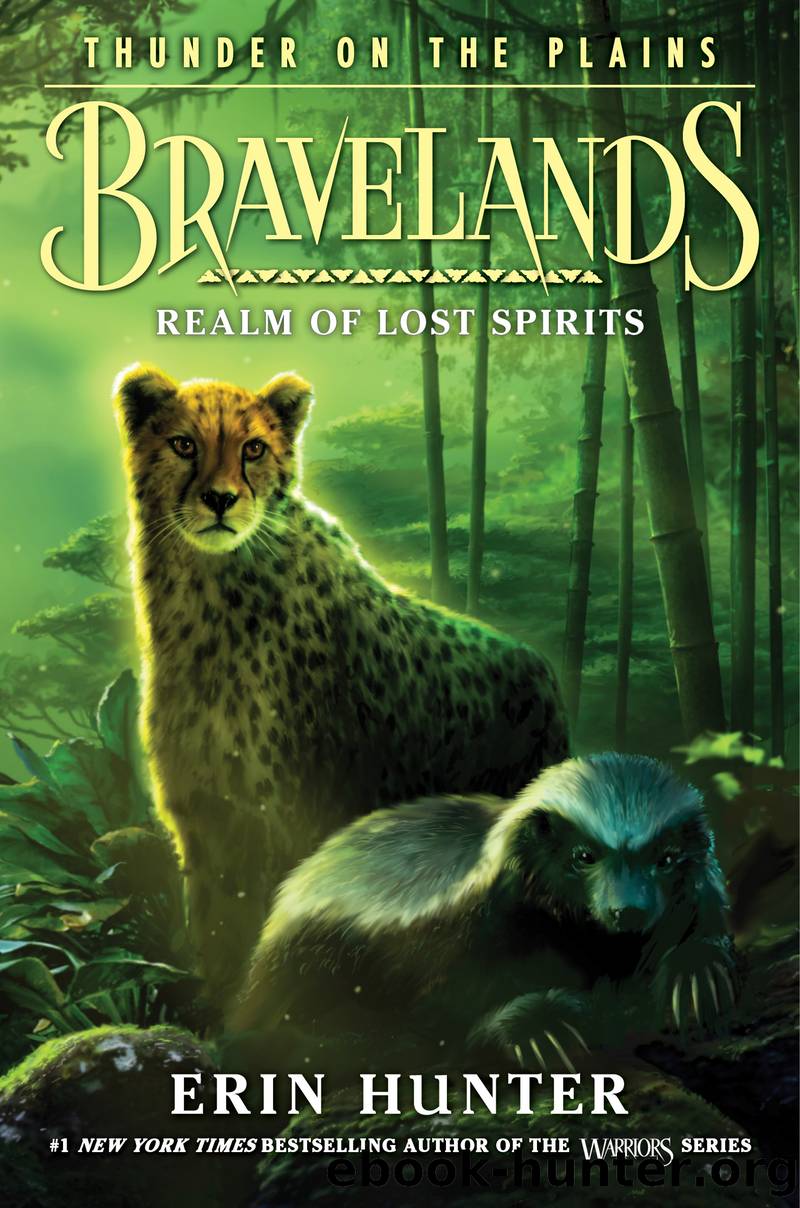 Realm of Lost Spirits by Erin Hunter
