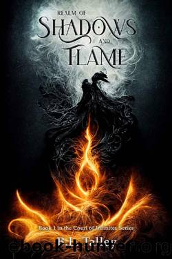 Realm of Shadows and Flame: Book 1 in the Court of Infinites Series by B.L. Talley
