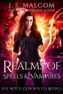 Realms of Spells and Vampires by J. S. Malcom