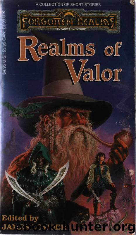 Realms of the Valor by James Lowder