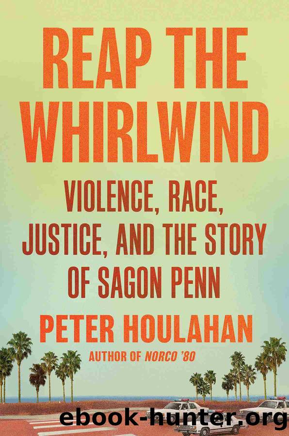 Reap the Whirlwind by Peter Houlahan