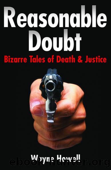 Reasonable Doubt by Wayne Howell