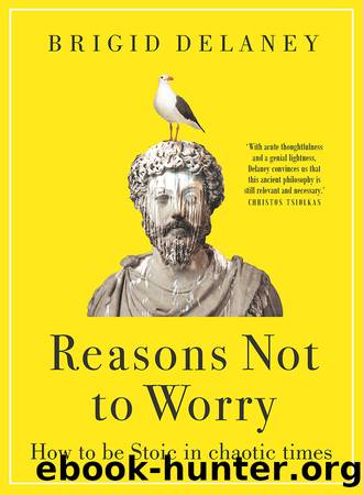 Reasons Not to Worry by Delaney Brigid;Charlton Andrew;