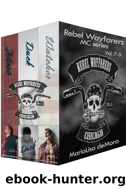 Rebel Wayfarers MC Boxset 3 by MariaLisa deMora