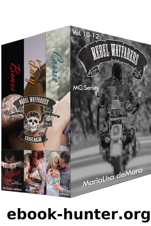 Rebel Wayfarers MC Boxset 4 by MariaLisa deMora