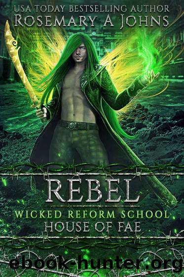 Rebel: House of Fae: A Dark Fae Paranormal Romance by Rosemary A Johns & Wicked Reform School