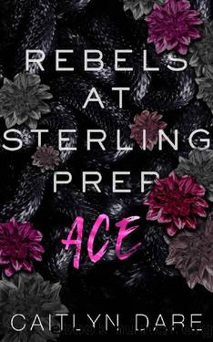 Rebels at Sterling Prep: Ace (Rebels at Sterling Prep Duets #1) by Caitlyn Dare