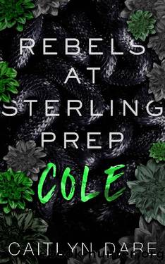 Rebels at Sterling Prep: Cole (Rebels at Sterling Prep Duets #2) by Caitlyn Dare