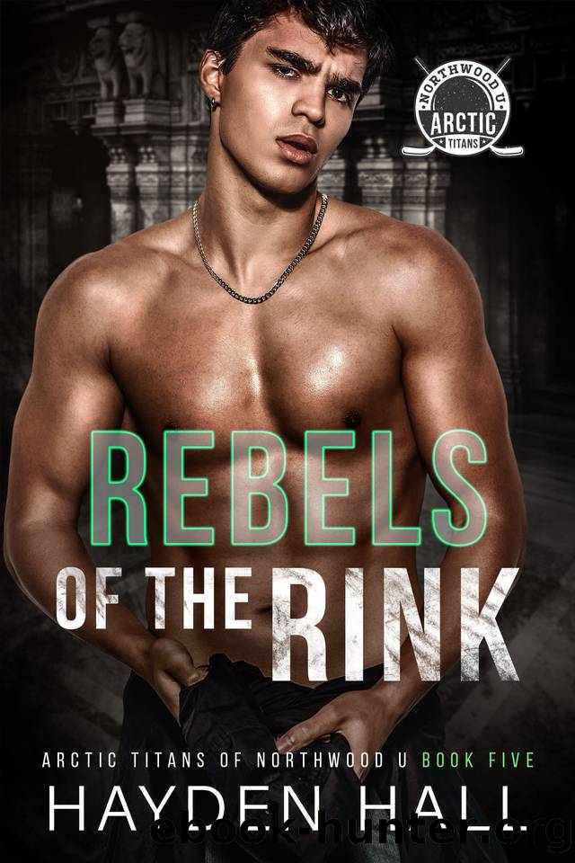 Rebels of the Rink (Arctic Titans of Northwood U Book 5) by Hayden Hall