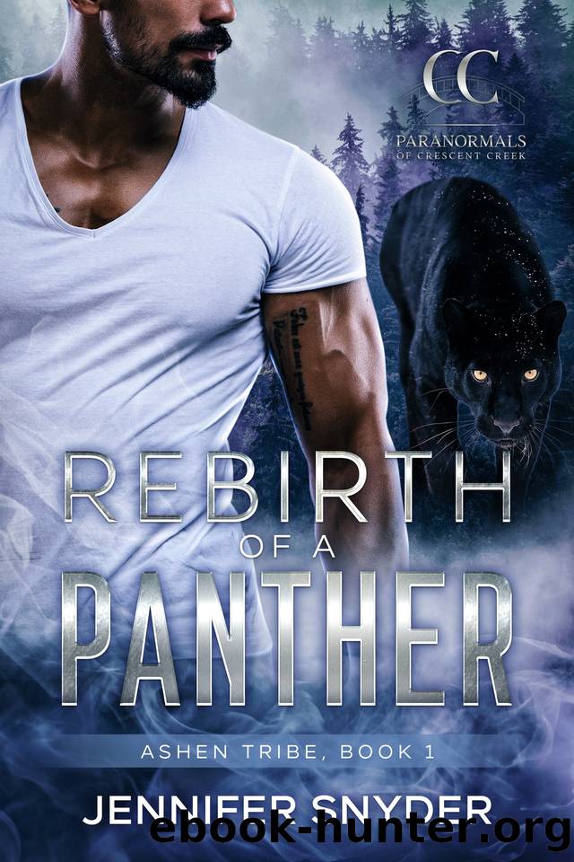 Rebirth Of A Panther (Ashen Tribe Book 1) by Jennifer Snyder