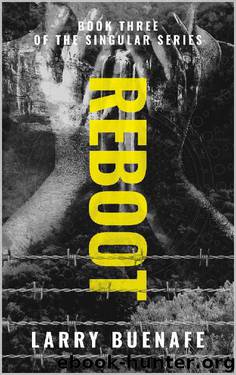 Reboot by Larry Buenafe