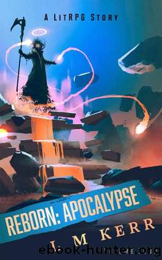 Reborn: Apocalypse (Volume 4): (A LitRPGWuxia Story) by L M Kerr
