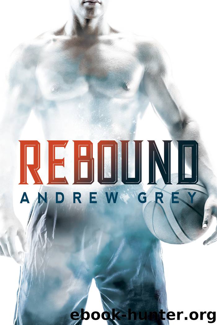 Rebound by Andrew Grey