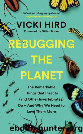 Rebugging the Planet: The Remarkable Things That Insects (And Other Invertebrates) Do â and Why We Need to Love Them More by Vicki Hird