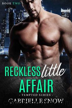 Reckless Little Affair by Gabrielle Snow
