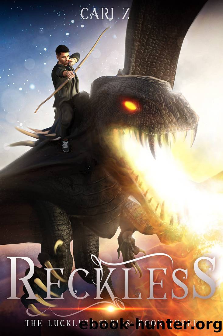 Reckless by Cari Z