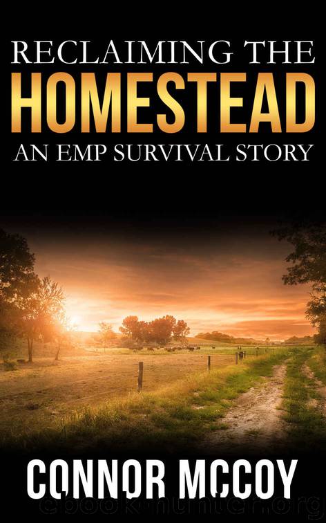 Reclaiming The Homestead: An EMP Survival story (BEYOND THE GRID Book 3) by Connor Mccoy