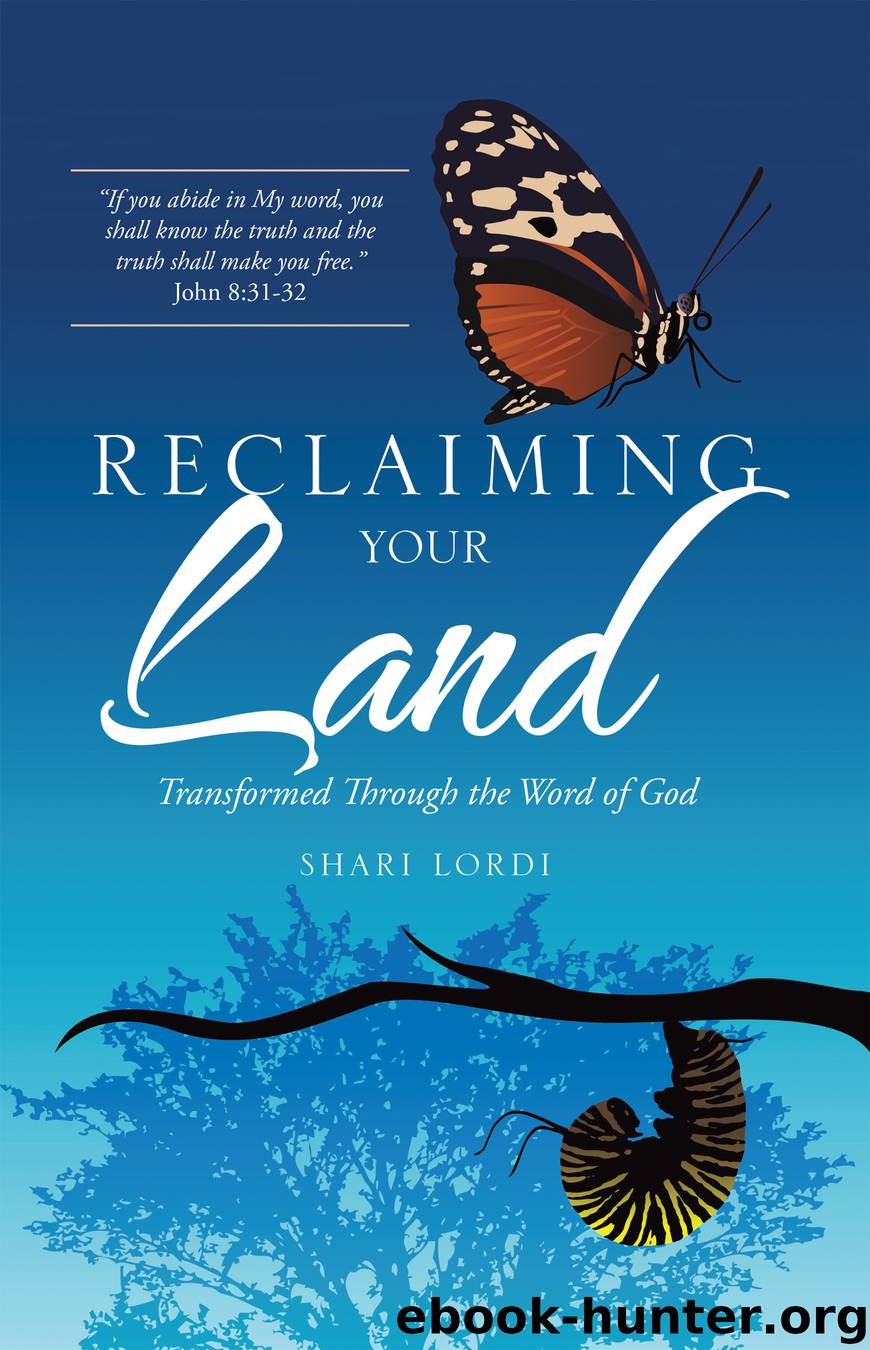 Reclaiming Your Land by shari lordi