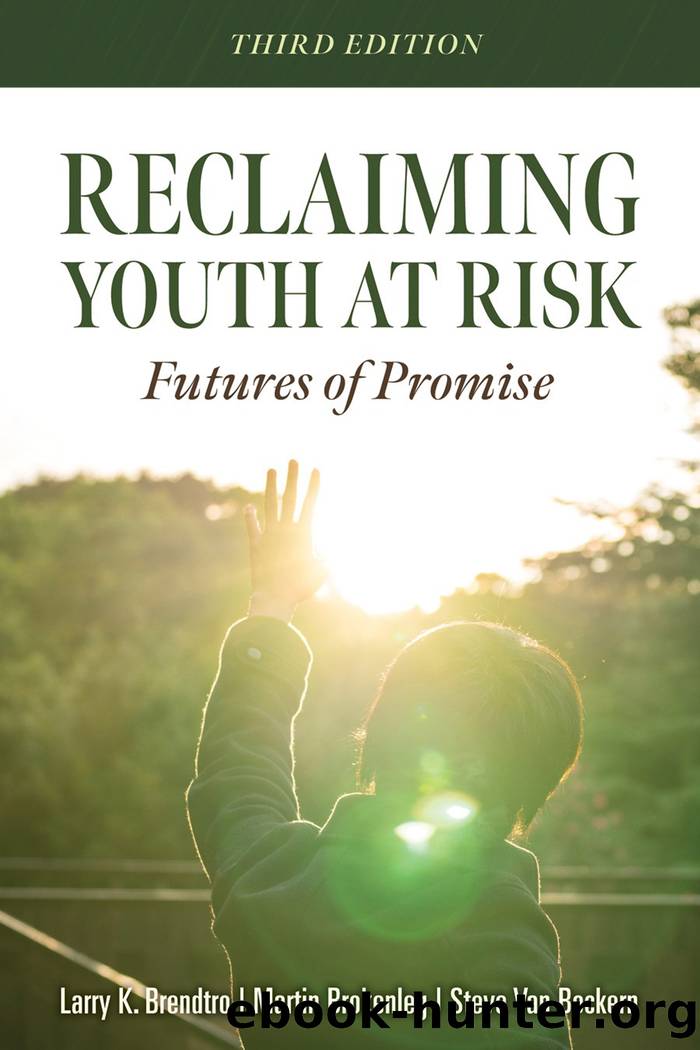 Reclaiming Youth at Risk by Brendtro Larry K.;Brokenleg Martin;Van Bockern Steve;