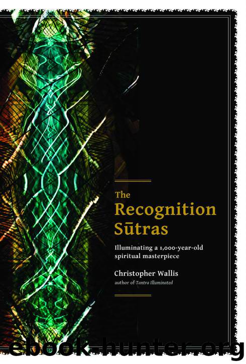 Recognition Sutras by Wallis Christopher D