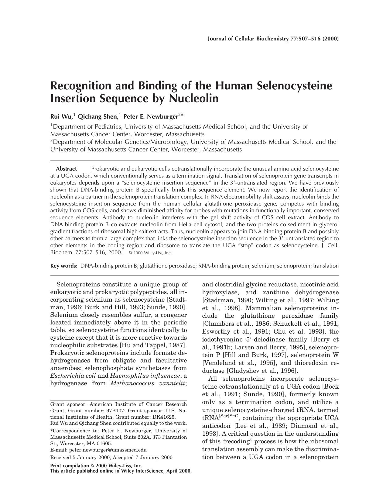 Recognition and binding of the human selenocysteine insertion sequence by nucleolin by Unknown