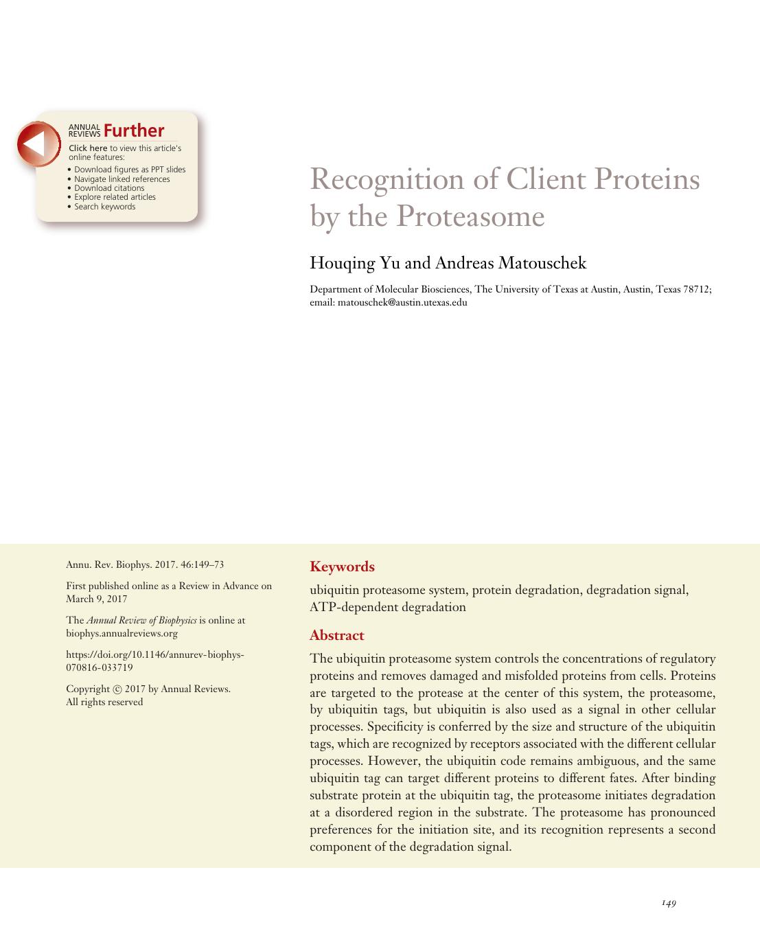 Recognition of Client Proteins by the Proteasome by Houqing Yu and Andreas Matouschek