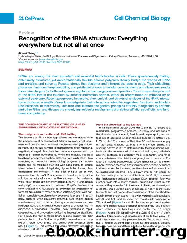 Recognition of the tRNA structure: Everything everywhere but not all at once by Jinwei Zhang