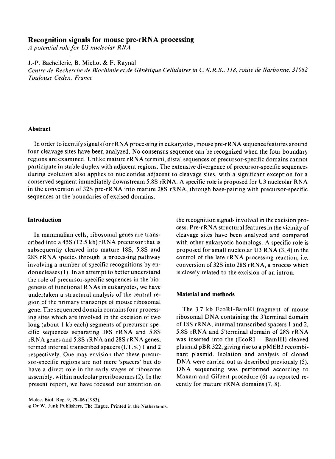 Recognition signals for mouse pre-rRNA processing by Unknown
