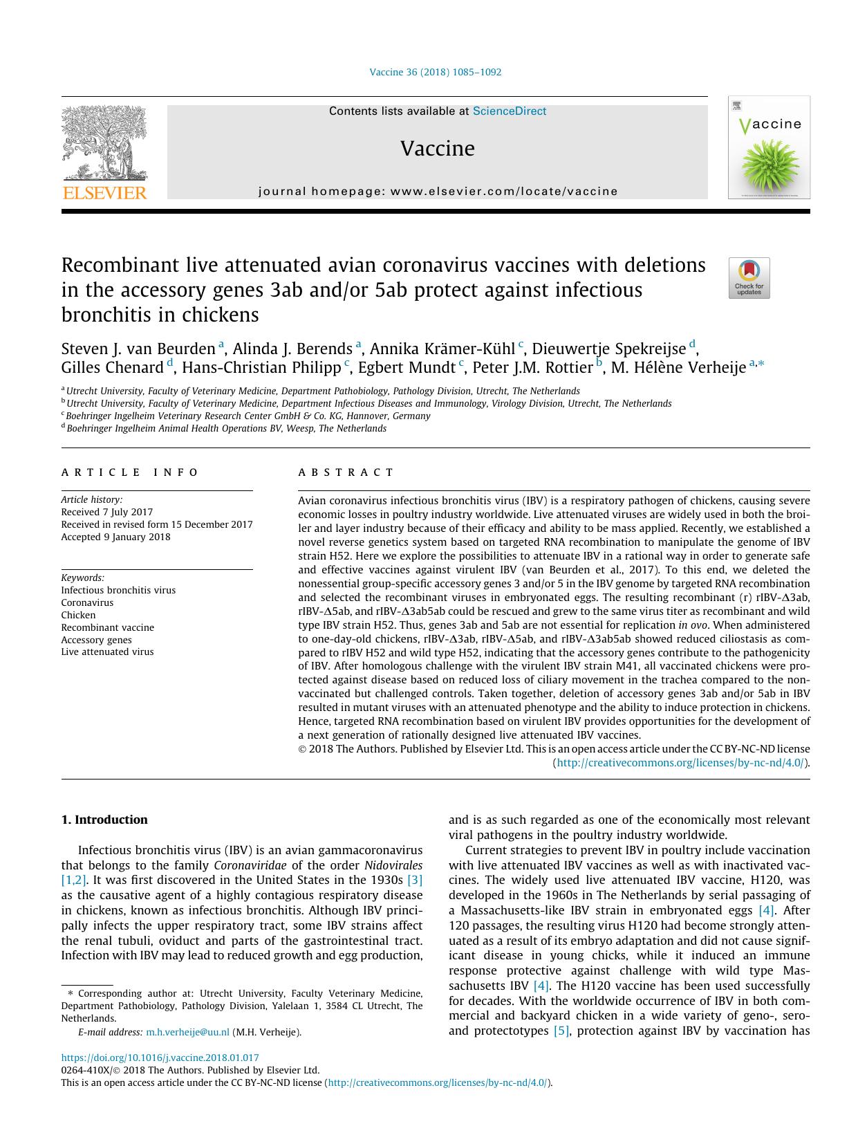 Recombinant live attenuated avian coronavirus vaccines with deletions in the accessory genes 3ab andor 5ab protect against infectious bronchitis in chickens by unknow