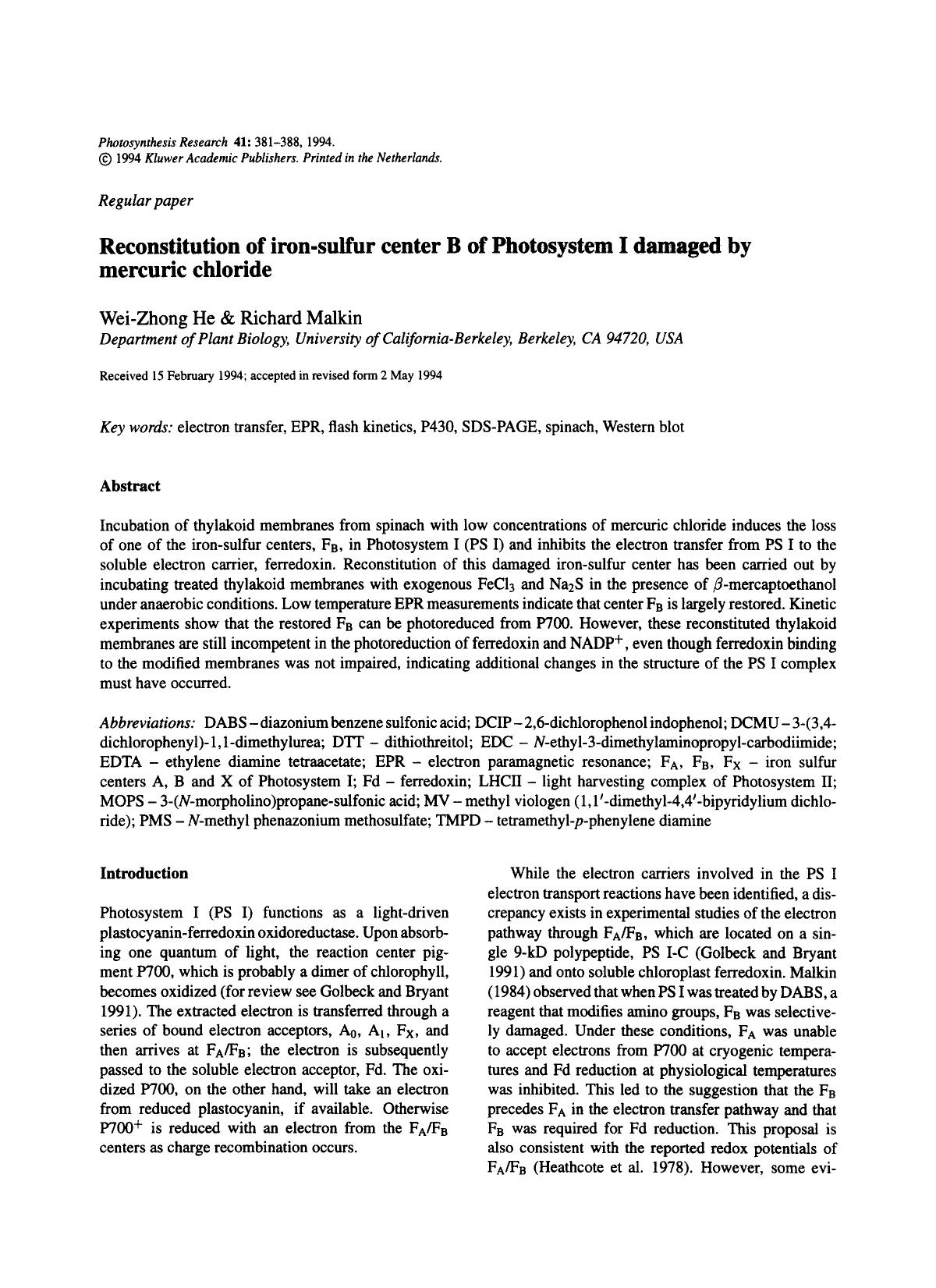 Reconstitution of iron-sulfur center B of Photosystem I damaged by mercuric chloride by Unknown