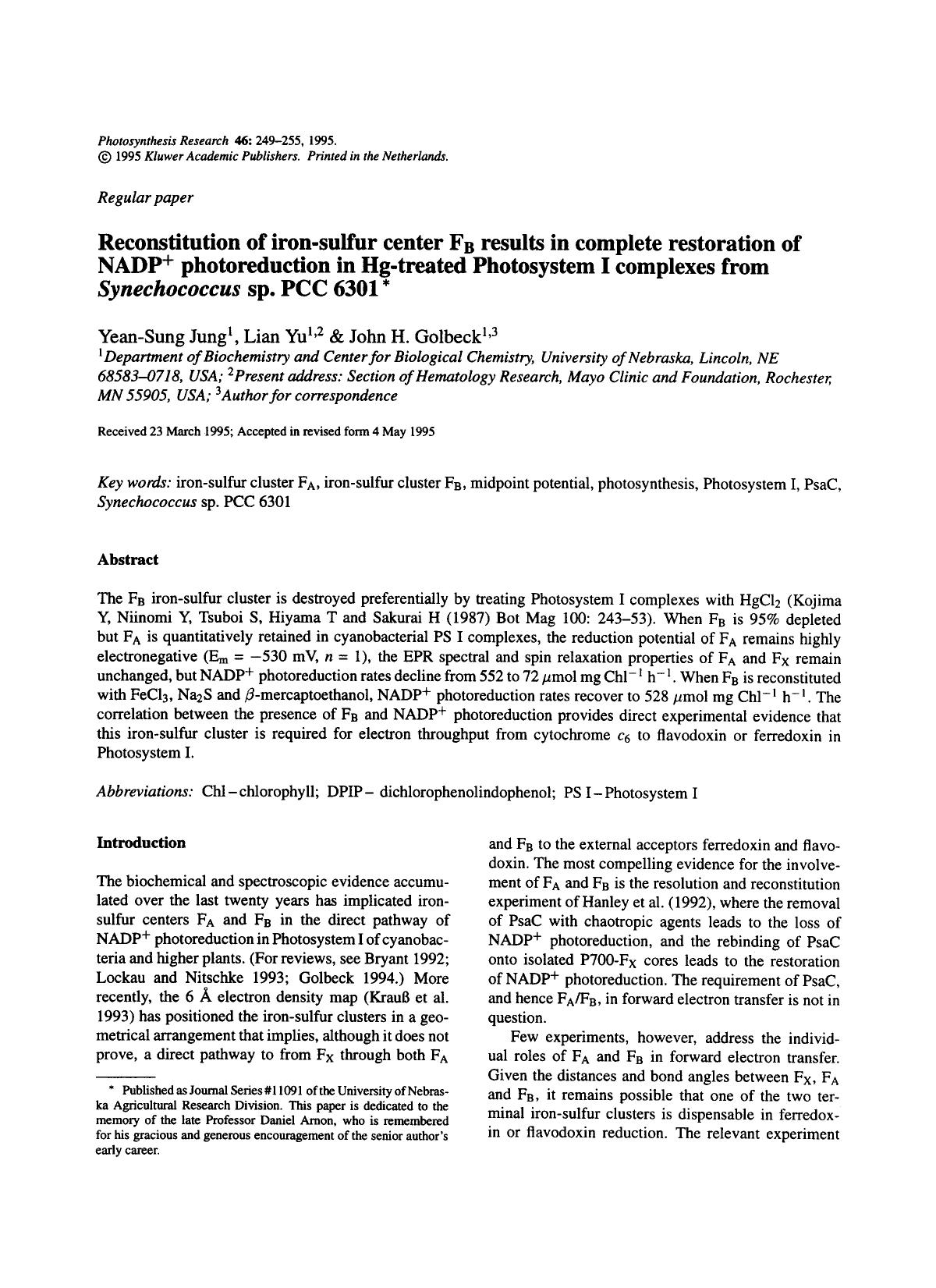 Reconstitution of iron-sulfur center F<Subscript>B<Subscript> results in complete restoration of NADP<Superscript>+<Superscript> photoreduction in Hg-treated Photosystem I complexe by Unknown