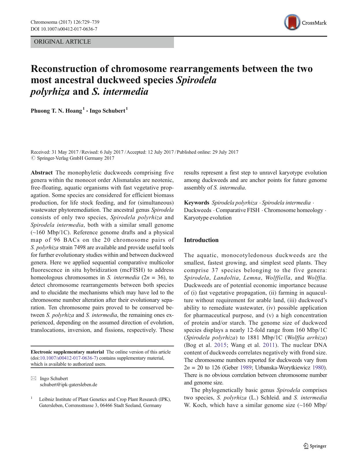 Reconstruction of chromosome rearrangements between the two most ancestral duckweed species Spirodela polyrhiza and S. intermedia by Phuong T. N. Hoang & Ingo Schubert
