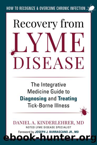 Recovery from Lyme Disease by Daniel A. Kinderlehrer