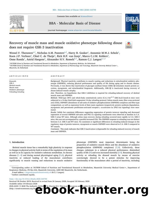 Recovery of muscle mass and muscle oxidative phenotype following disuse does not require GSK-3 inactivation by unknow