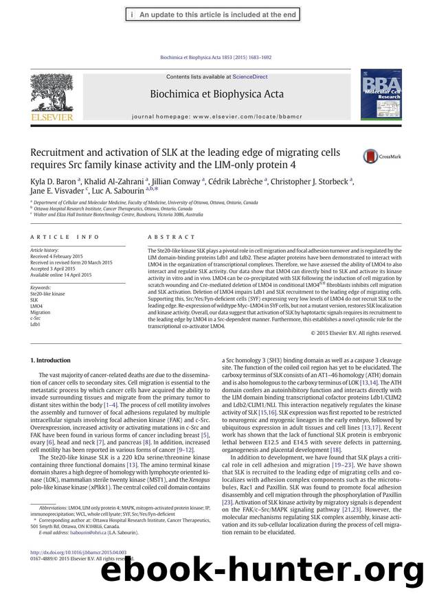 Recruitment and activation of SLK at the leading edge of migrating cells requires Src family kinase activity and the LIM-only protein 4 by unknow