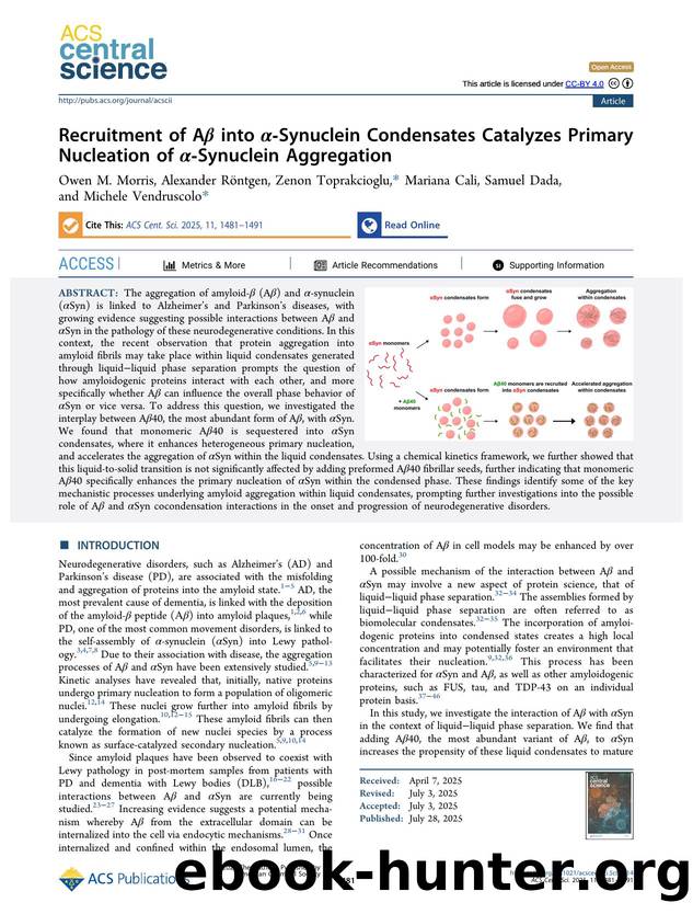 Recruitment of AÎ² into Î±-Synuclein Condensates Catalyzes Primary Nucleation of Î±-Synuclein Aggregation by unknow