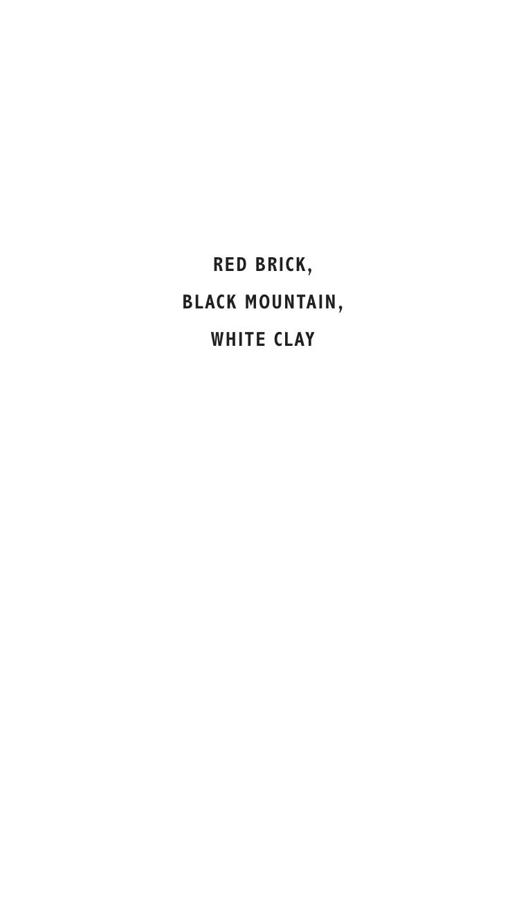 Red Brick, Black Mountain, White Clay: Reflections on Art, Family, and Survival by Christopher Benfey