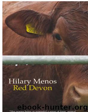 Red Devon by Menos Hilary
