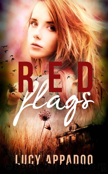 Red Flags by Lucy Appadoo