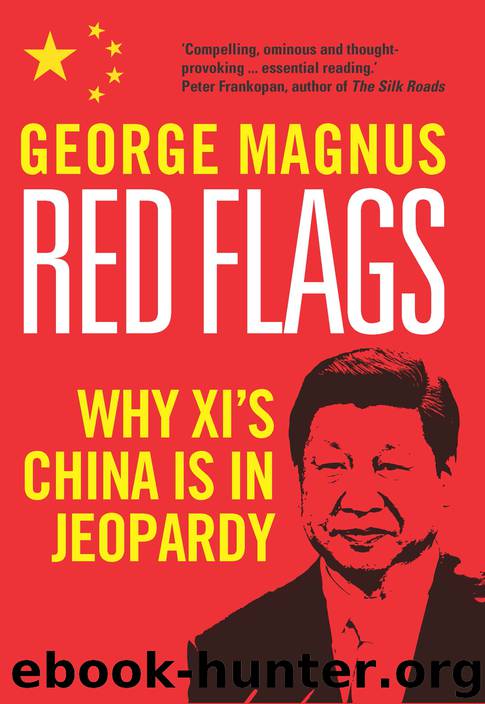 Red Flags: Why Xi's China Is in Jeopardy by George Magnus