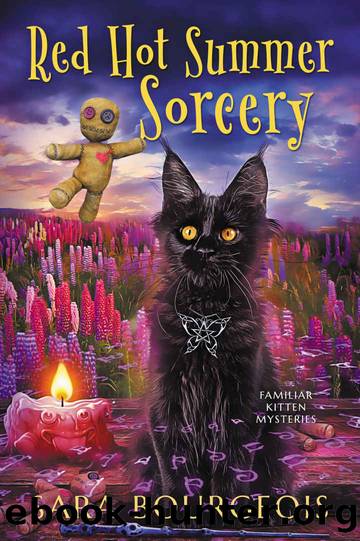 Red Hot Summer Sorcery: Mysteries of Meri (Familiar Kitten Mysteries Book 21) by Sara Bourgeois