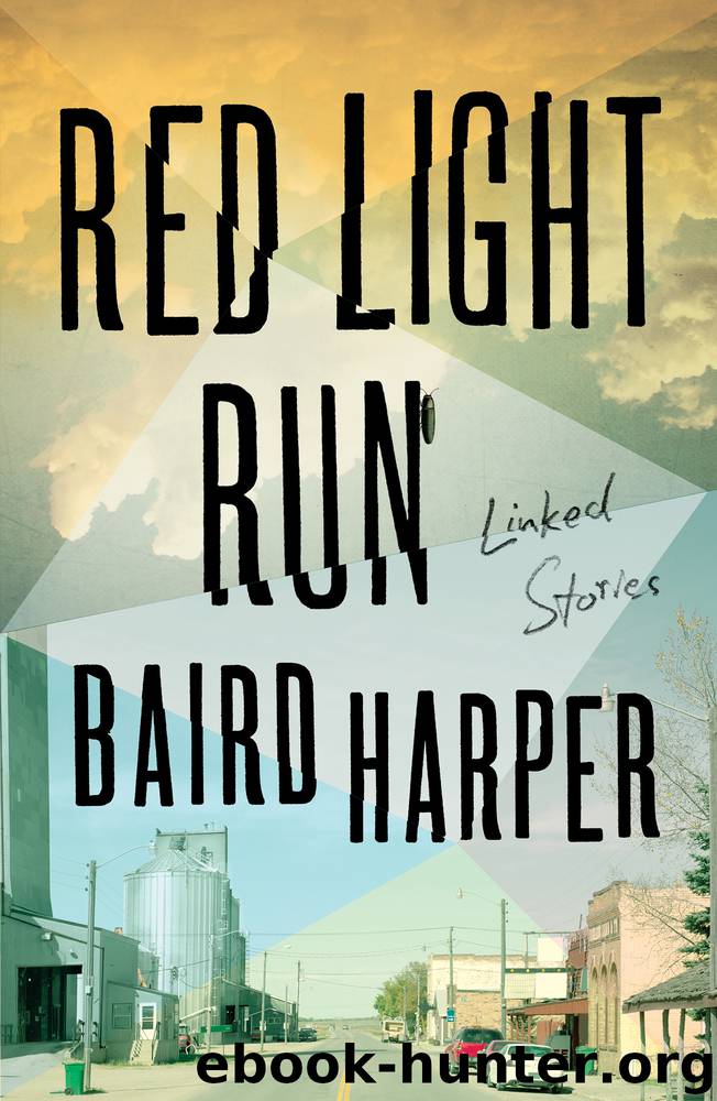 Red Light Run by Baird Harper