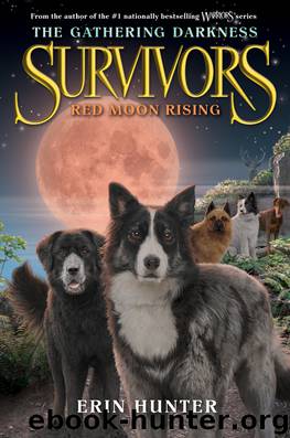 Red Moon Rising by Erin Hunter