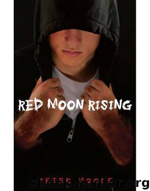 Red Moon Rising by Peter Moore